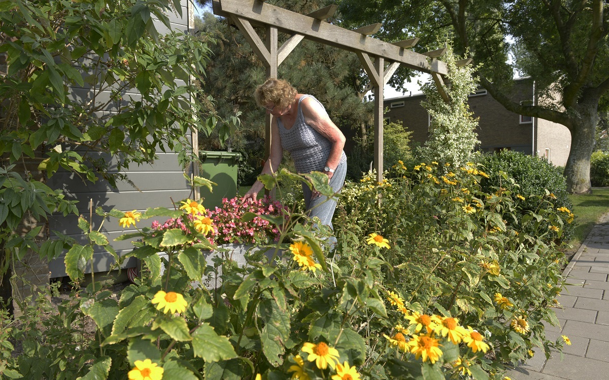 Foto van een vrouw die in haar tuin tuiniert